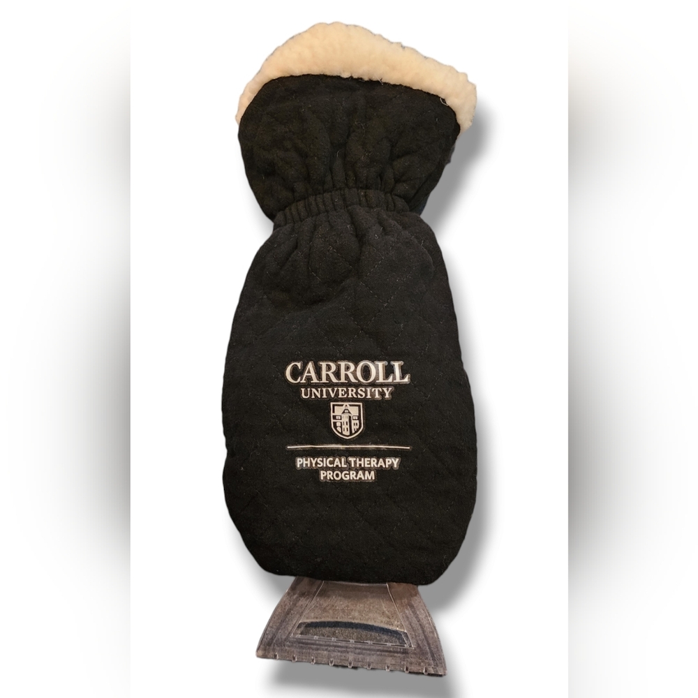 Ice Scraper Mitt